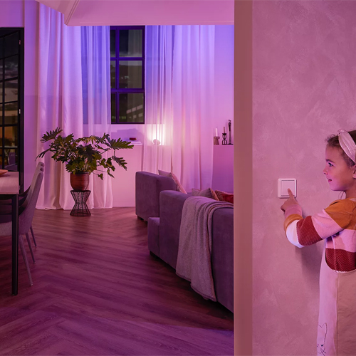 Philips Hue Wall Switch Module duopack