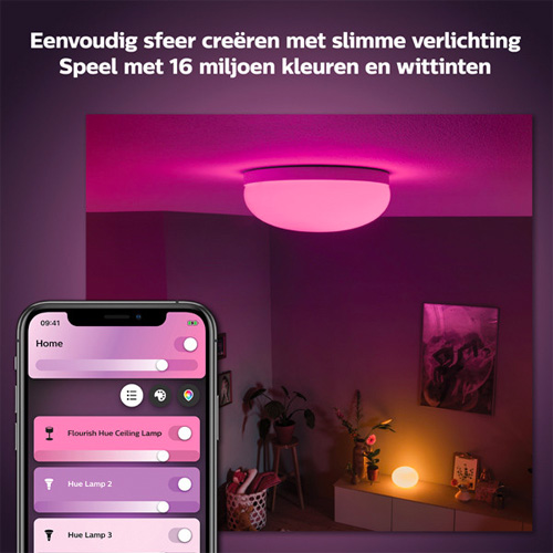 Philips Hue Flourish Plafondlamp White and Color