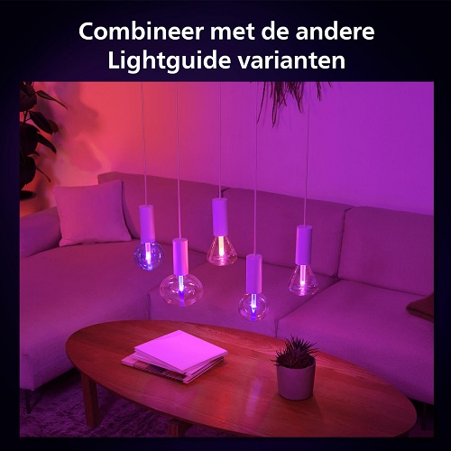 Philips Hue Lightguide Ellipse White and Color E27