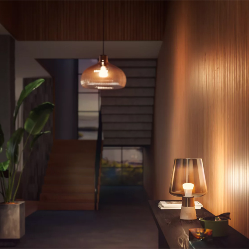 Philips Hue White Ambiance E27 800 lumen Bluetooth 2-pack