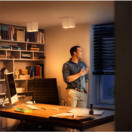 Philips Hue GU10 Pillar Opbouwspot Duo Wit