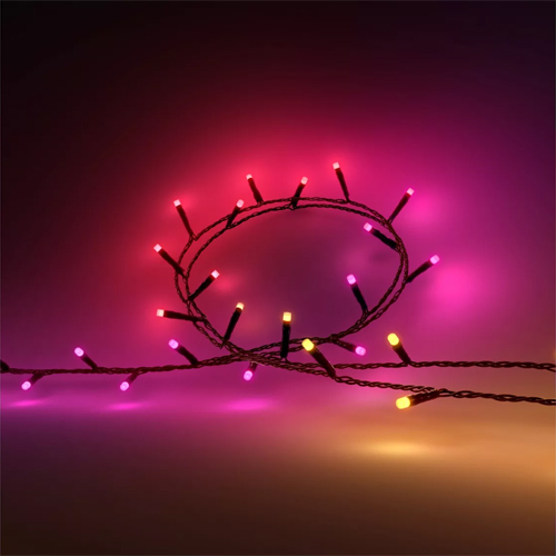 Philips Hue Festavia 250 led ledstrip