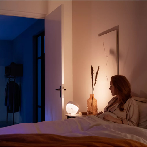 Philips Hue Iris White and Color Ambiance Wit Gen4