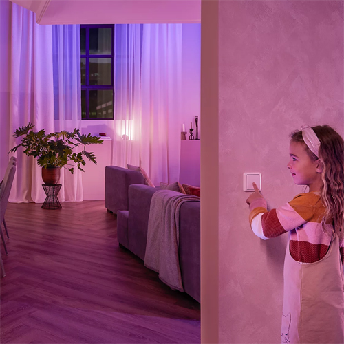 Philips Hue Wall Switch Module