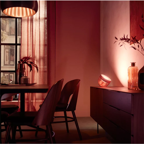 Philips Hue Iris white and color limited edition koper