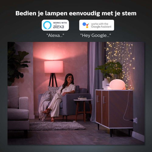 Philips Hue Smart Plug EU