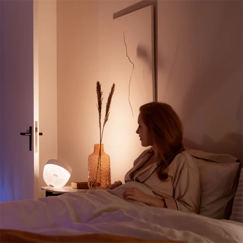 Philips Hue Iris white and color zwart Gen4