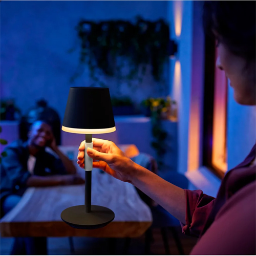 Philips Hue Go Zwart