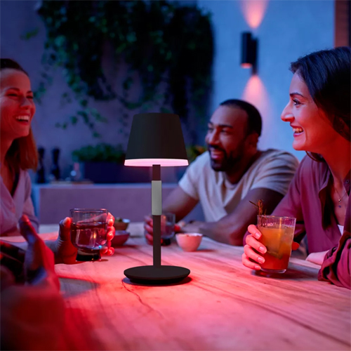 Philips Hue Go Zwart