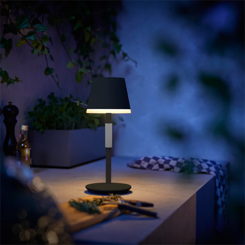 Philips Hue Go Zwart