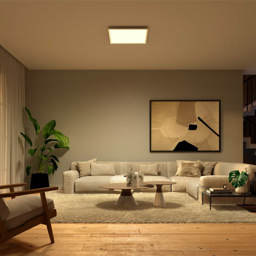 Philips Hue Surimu White Color Ambiance Ledpaneel Vierkant XL