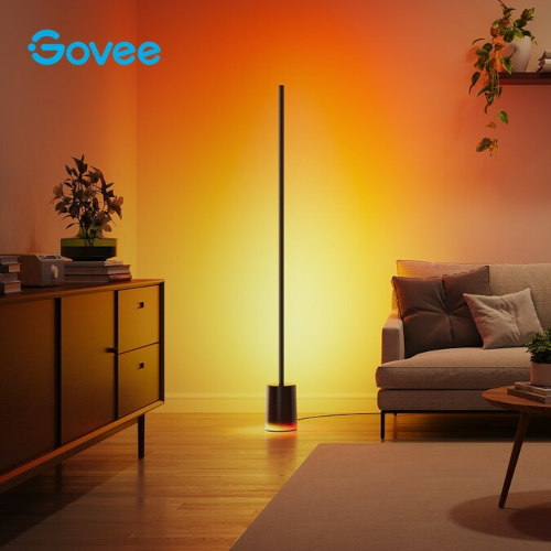 Govee Floor Lamp 2.jpg