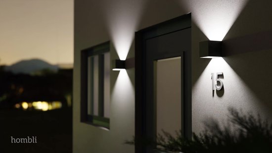 Hombli Smart wall light