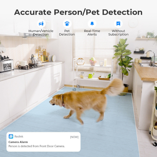 Person/Pet detection Reolink E340 zoom